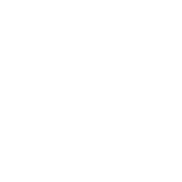 Logo PROTECSA